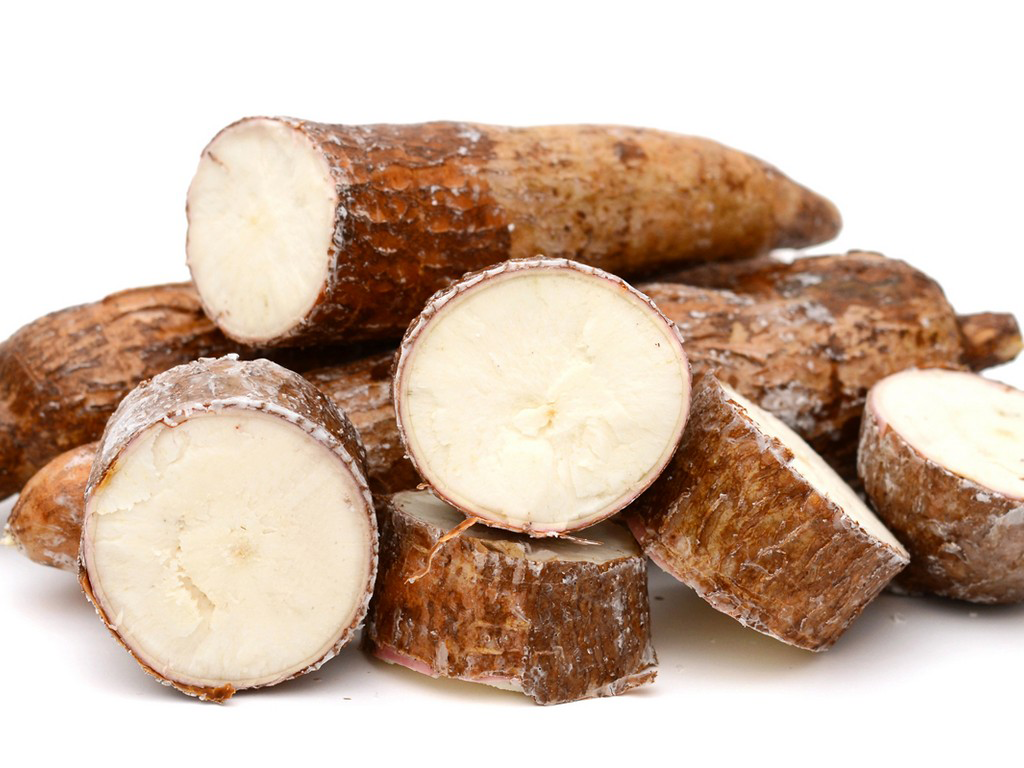 Yucca Root