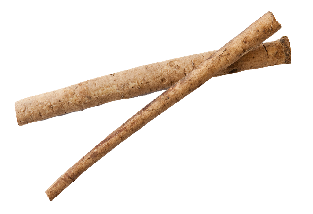 Burdock Root