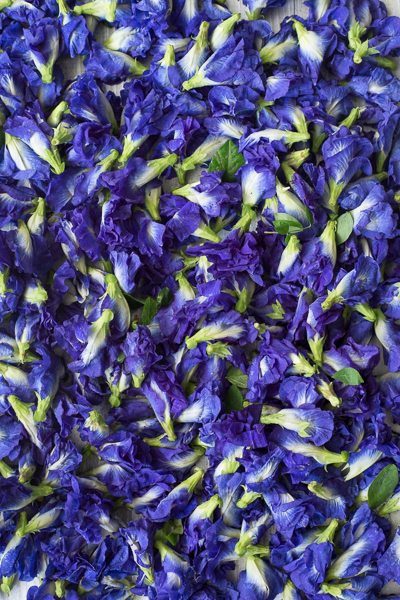 Butterfly Pea Flower
