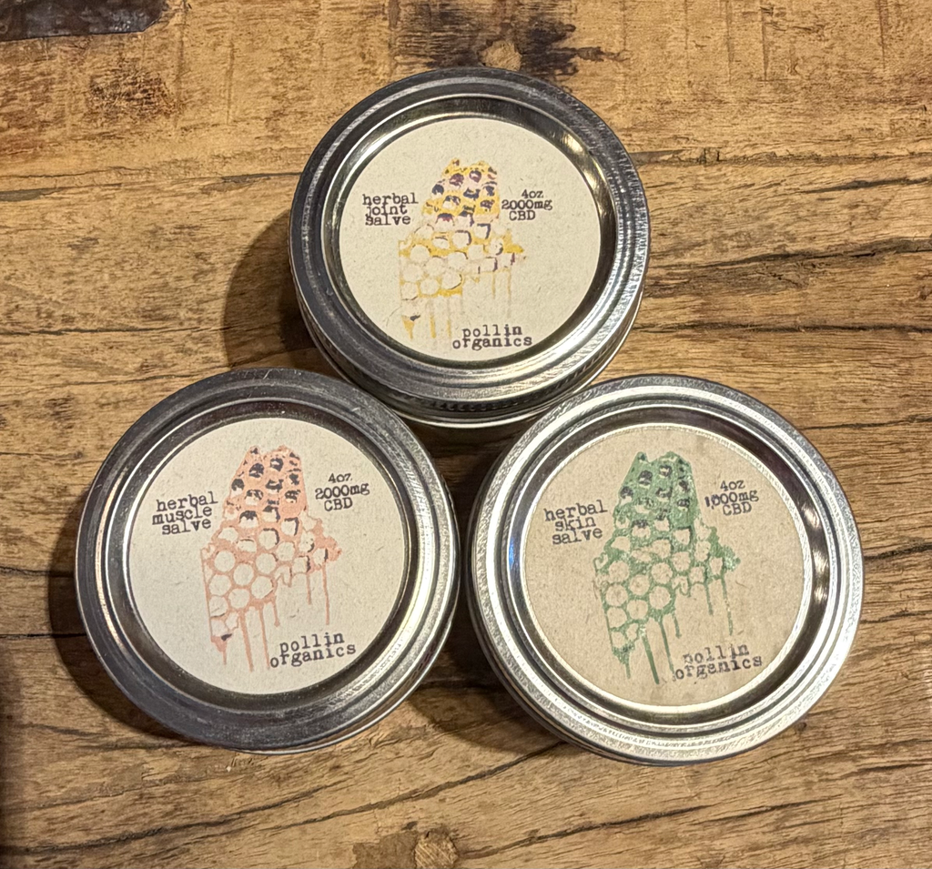 2000mg CBD Salves by Pollin Organics