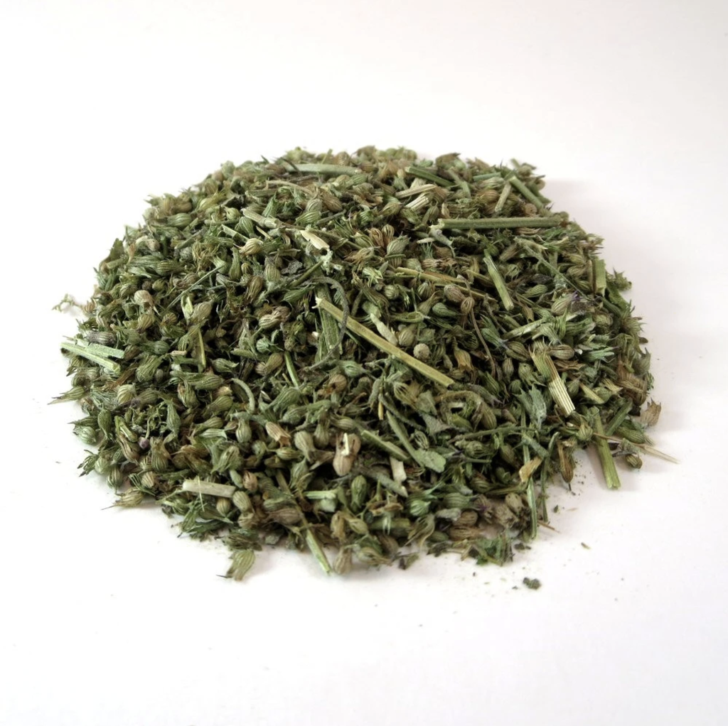 Catnip