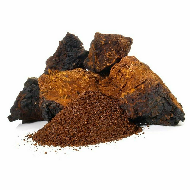 Chaga Powder