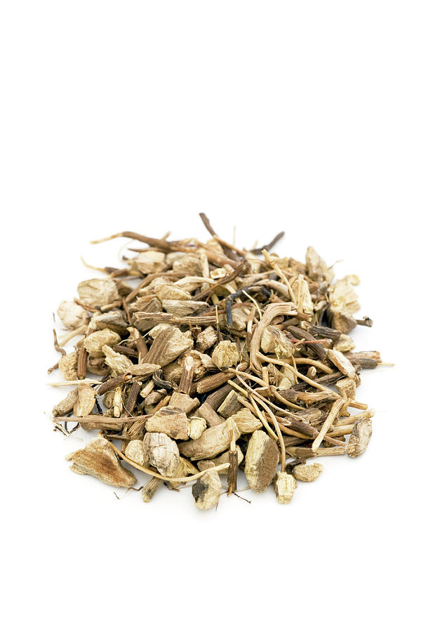 Gravel Root
