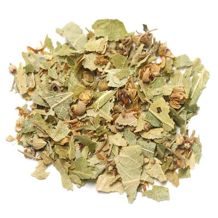 Linden Flower