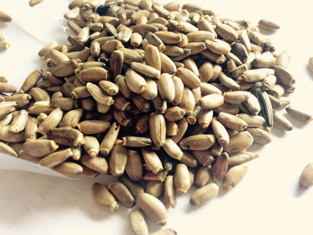 Milk Thistle Seed