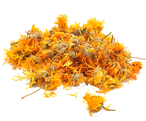 [CALENDULA-AN-OZ] Calendula