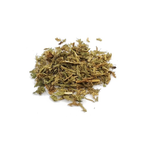 [CLUB-MOSS-AN-OZ] Club Moss