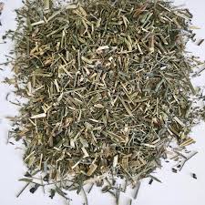 [ANDROGRAPHIS-1-BULK] Andrographis