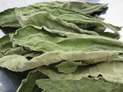 [MULLEIN-LEAF-AN-OZ] Mullein Leaf
