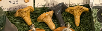 [MUSHROOM-PENDANT-CLAY] Mushroom pendant clay by Stone Grown