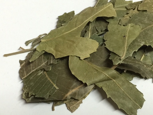 [NEEM-LEAF-OZ] Neem Leaf