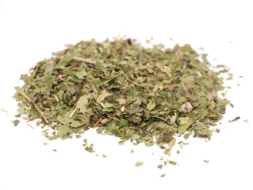 [WITCH-HAZEL-LEAF-AN-OZ] Witch Hazel Leaf