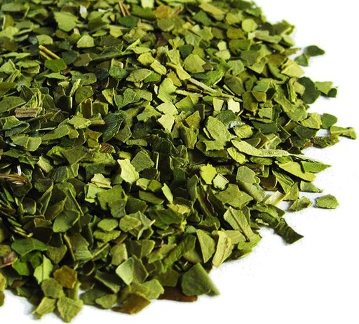 [YERBA-MATE-TEA-1-OZ] Yerba Mate Tea - 1 oz