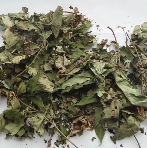 [BLACKBERRY-LEAF-AN-OZ] Blackberry Leaf