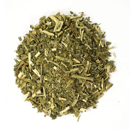 [BLESSED-THISTLE-OZ] Blessed Thistle