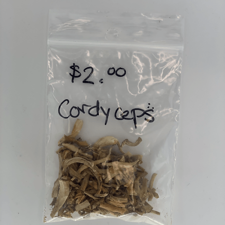 Elderberry Syrup Add-on: Cordyceps
