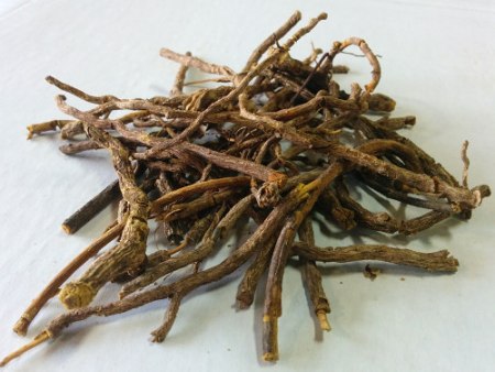 Organic Cryptolepis Root