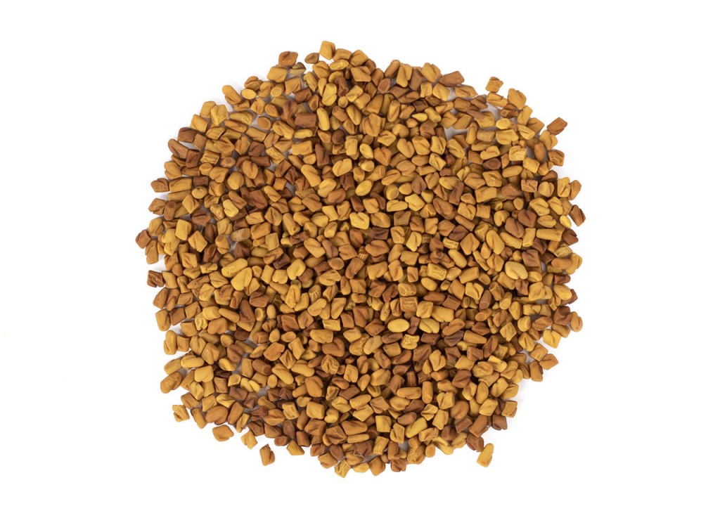 Organic Fenugreek